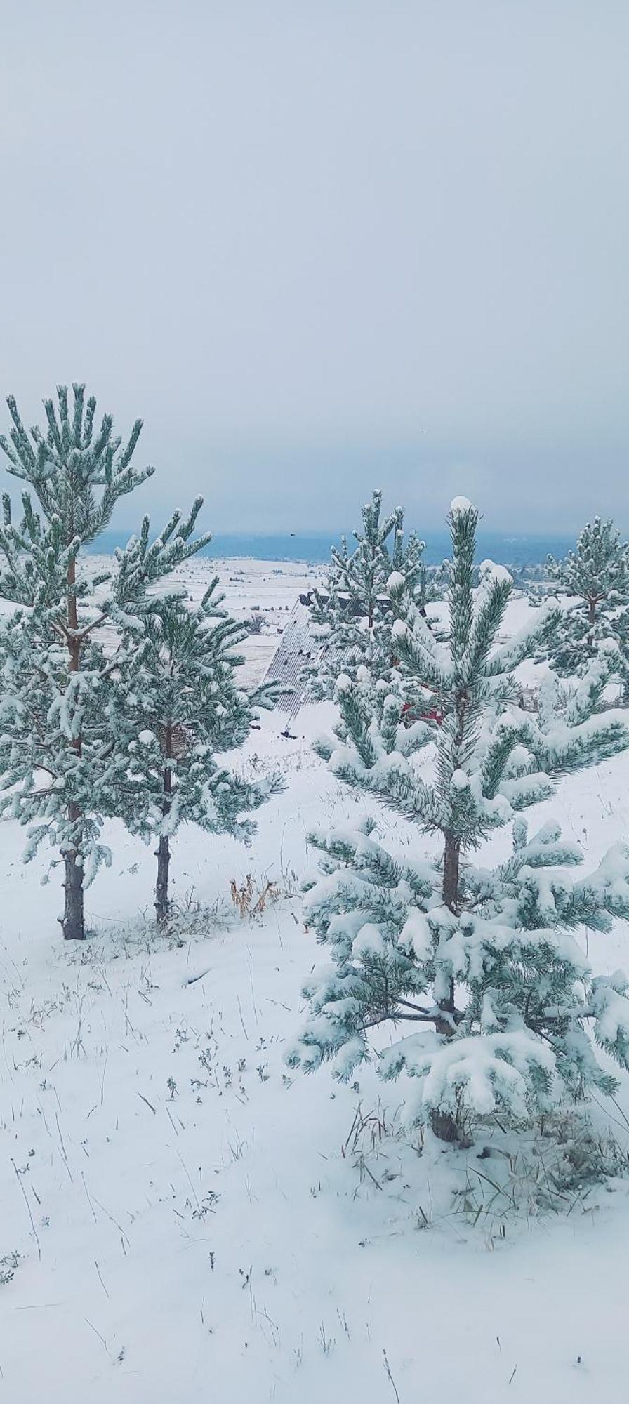 Villa Monte Zen Žabljak Esterno foto