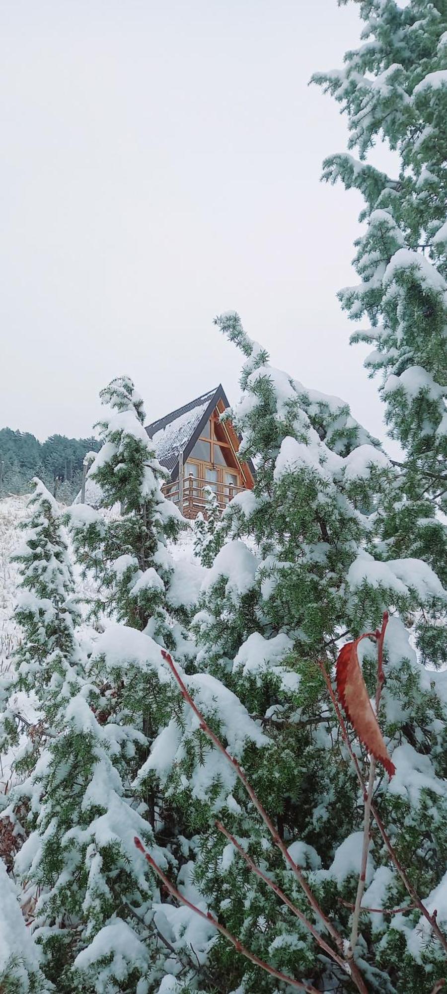 Villa Monte Zen Žabljak Esterno foto