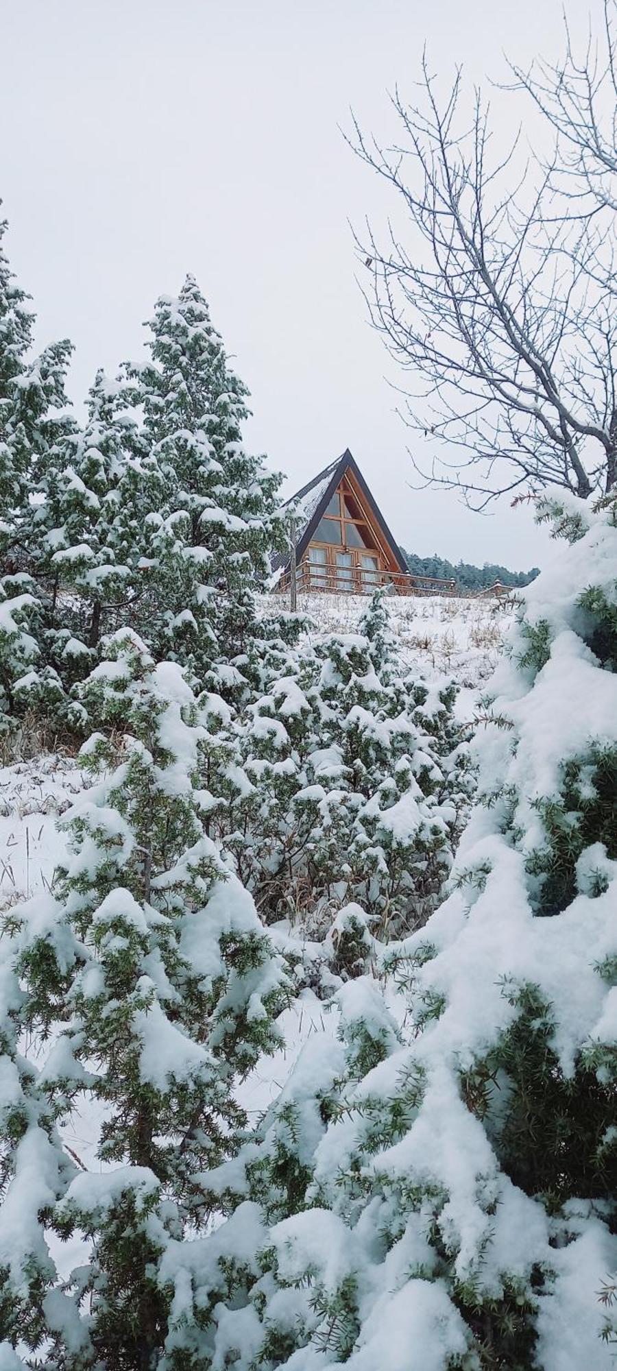 Villa Monte Zen Žabljak Esterno foto
