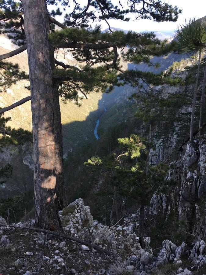 Villa Monte Zen Žabljak Esterno foto